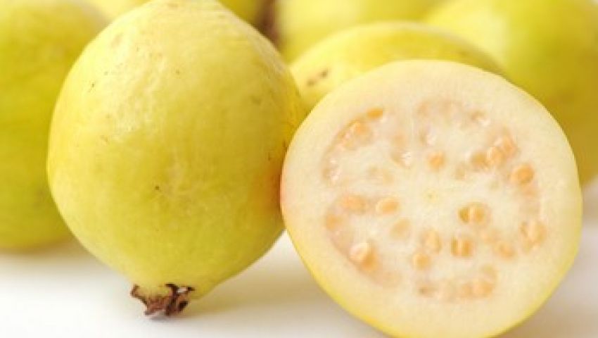 فوائد الجوافة.. روشتة علاج لأسرتك